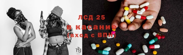 ГАЛЛЮЦИНОГЕННЫЕ ГРИБЫ Абинск